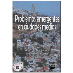 PROBLEMAS EMERGENTES EN CIUDADES MEDIAS, Mónica Ribeiro Palacios,Edgar Belmont Cortés