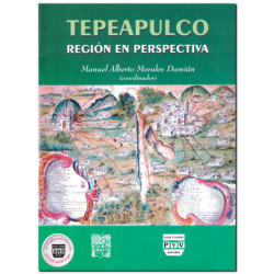 TEPEAPULCO, Región en perspectiva, Manuel Alberto Morales Damián