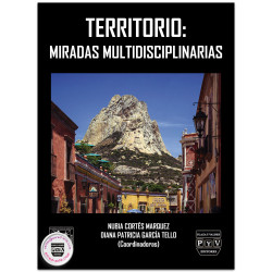 Territorio, Miradas Multidisciplinarias, Nubia Cortés Márquez, Diana P