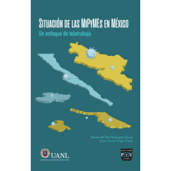 Situación de las MiPyMEs en...