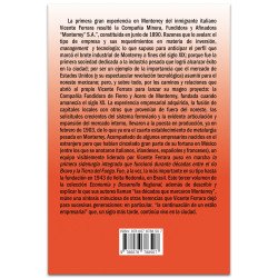 VICENTE FERRERA Y LA INDUSTRIA PESADA EN MONTERREY, Proyectos, impactos y herencias, Mario Cerutti,Jose R. Mendirichaga