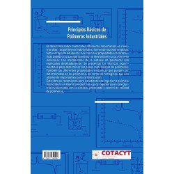 Principios Básicos De Polímeros Industriales