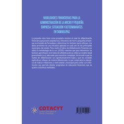 Habilidades Financieras Para La Administración De La Micro y Pequeña Empresa: Situación y Determinantes en Tamaulipas