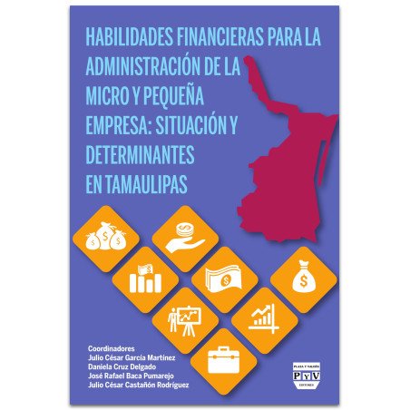 Habilidades Financieras Para La Administración De La Micro y Pequeña Empresa: Situación y Determinantes en Tamaulipas