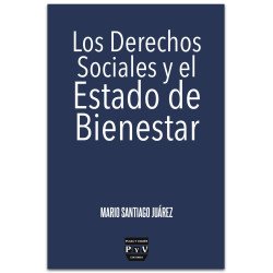 Los Derechos Sociales y el Estado de Bienestar - Mario Santiago Juárez