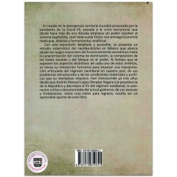 ECONOMÍA MEXICANA, Análisis y herramientas analíticas, José Valenzulea Feijóo