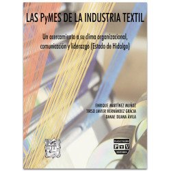 Las PyMES de la Industria...