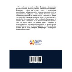 MÁS QUE UNA BRECHA… Etnografías Sobre la Efectividad de los Derechos Indígenas