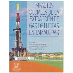 Impactos Sociales del la...