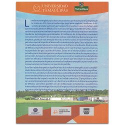 Impactos Sociales de la Extracción de Gas de Lutitas en Tamaulipas
