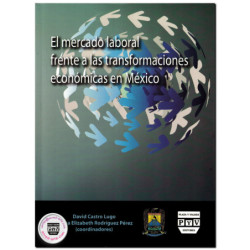 EL MERCADO LABORAL FRENTE A LAS TRANSFORMACIONES ECONÓMICAS EN MÉXICO, David Castro Lugo