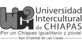UNICH / Universidad Intercultural de Chiapas